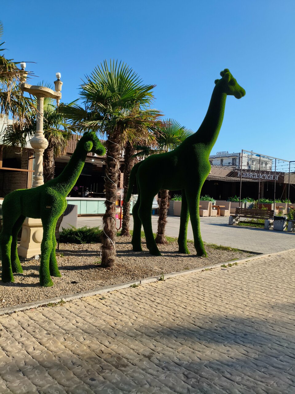 Гостиница Дольче Вита Витязево-249