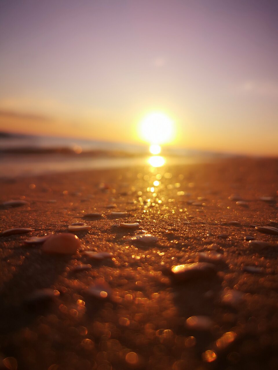 Гостиница Дольче Вита Витязево-250