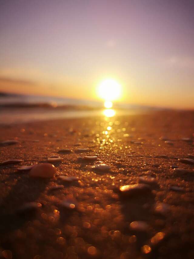 Гостиница Дольче Вита Витязево-249